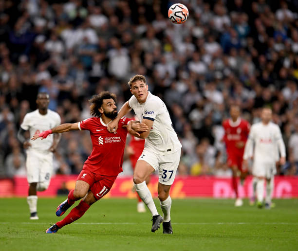 他们将共同 他们将共同